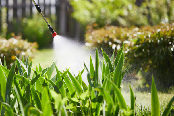 24/7 Emergency Fumigation Services experts in Sheboygan Falls, WI
