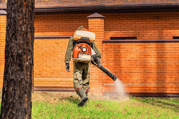Trusted Termite Control service in Sheboygan Falls, WI - Nex Pest Control